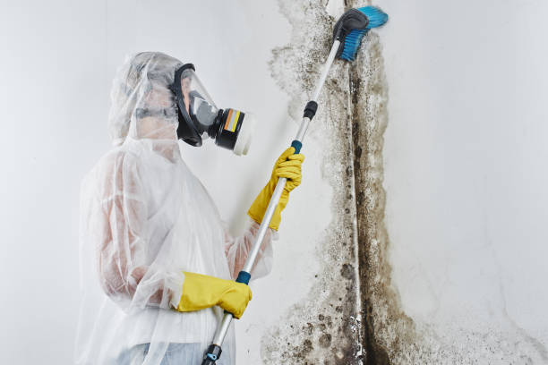 Best Water Damage Restoration  in Barrett, TX