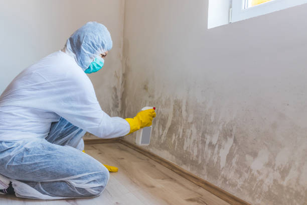 Best Residential Mold Removal  in Barrett, TX