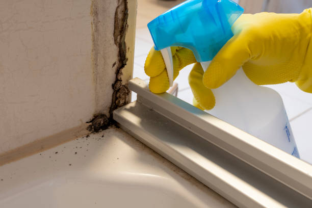 Best Mold Testing and Removal  in Barrett, TX