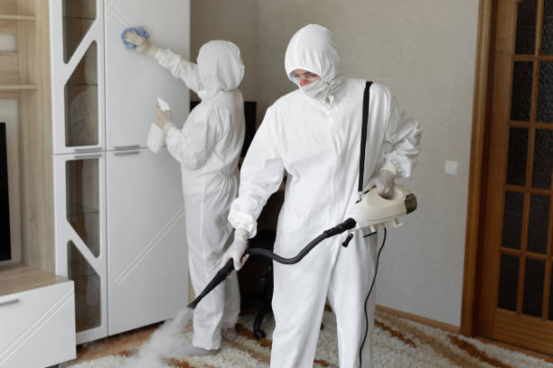 Best Professional Mold Removal  in Barrett, TX