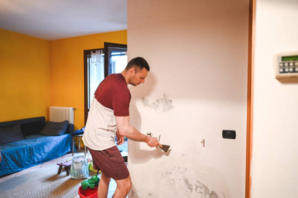 Best Mold Damage Repair  in Barrett, TX