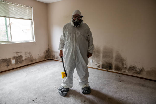 Best Mold Removal Company Near Me  in Barrett, TX